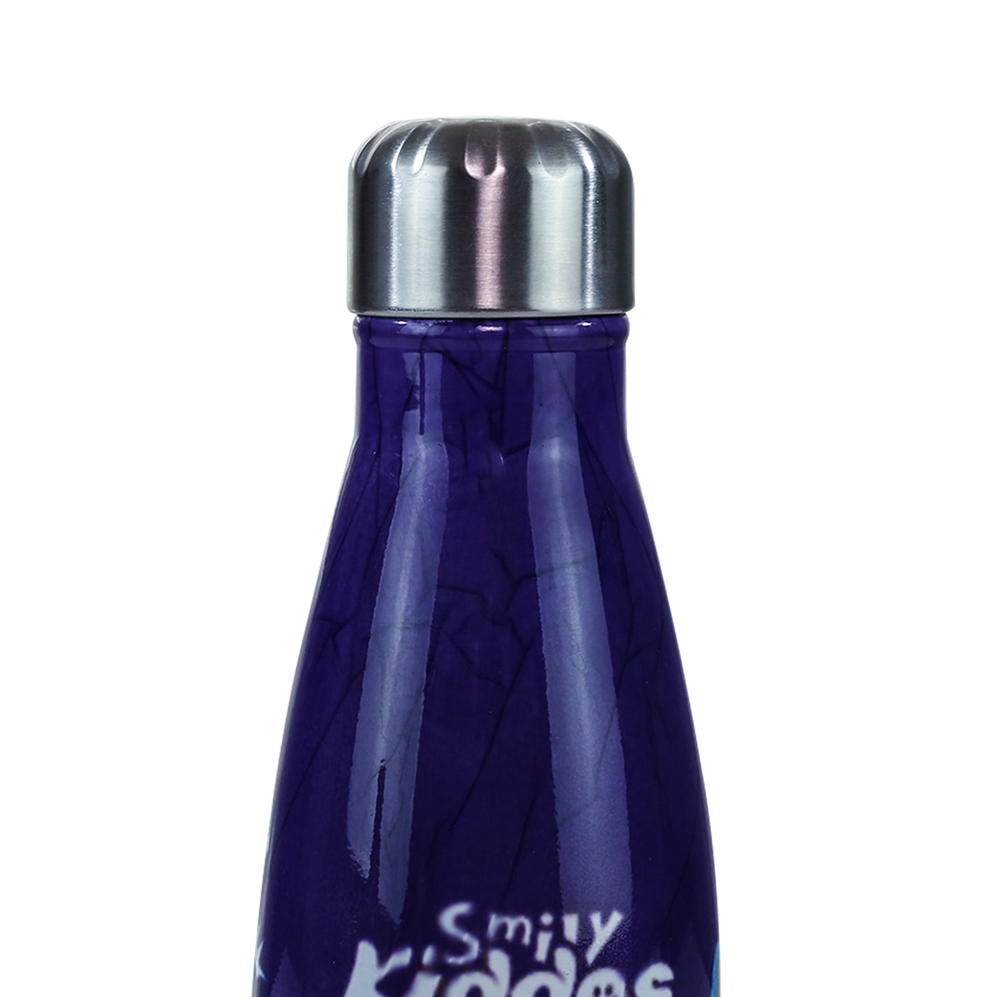 Smily Kiddos Steel Water Bottle Violet - Rider Dino Theme